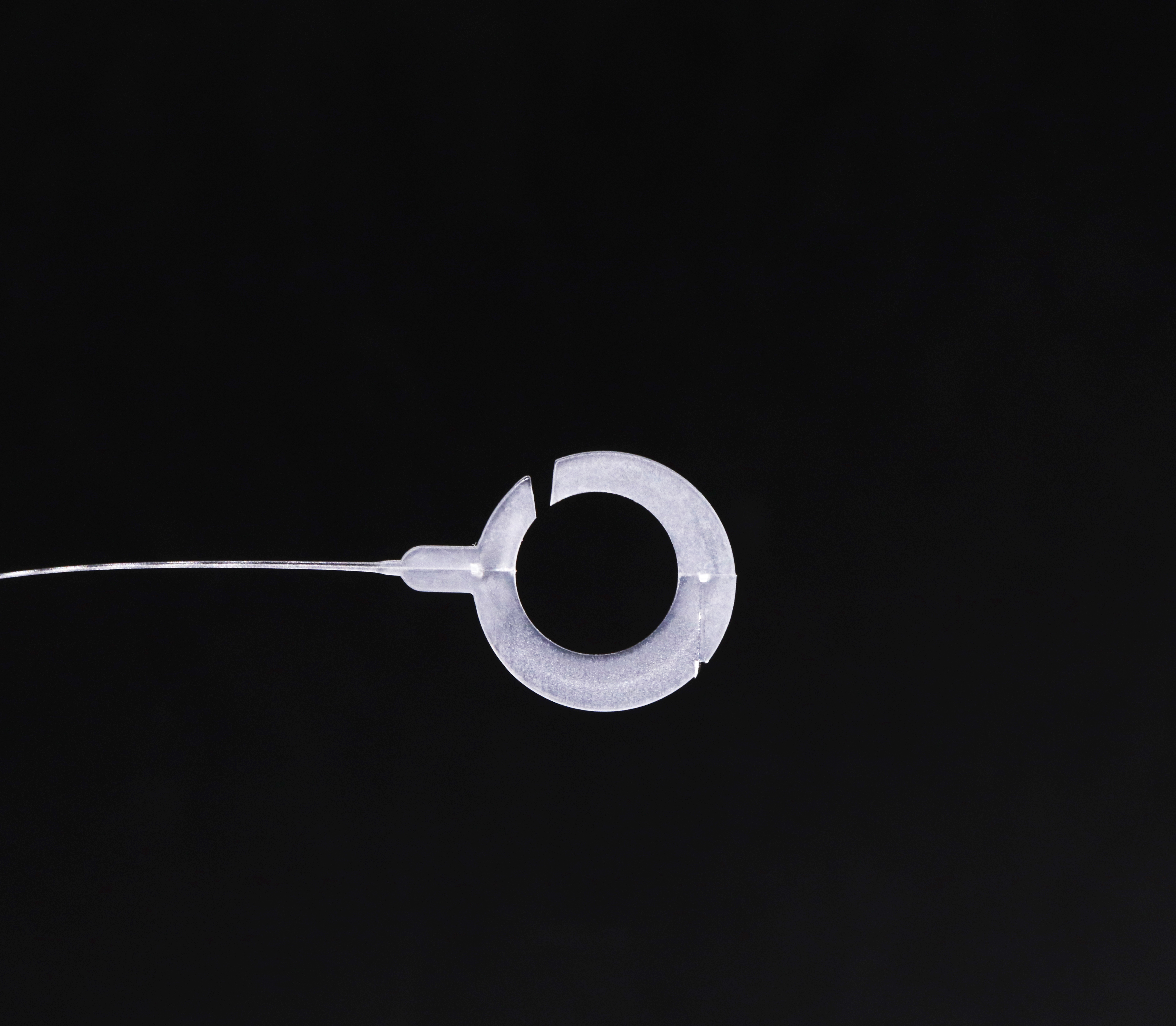 Ring Tag Pin