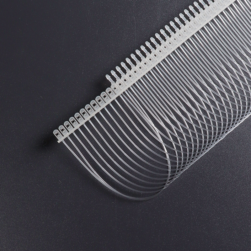 iV-loop